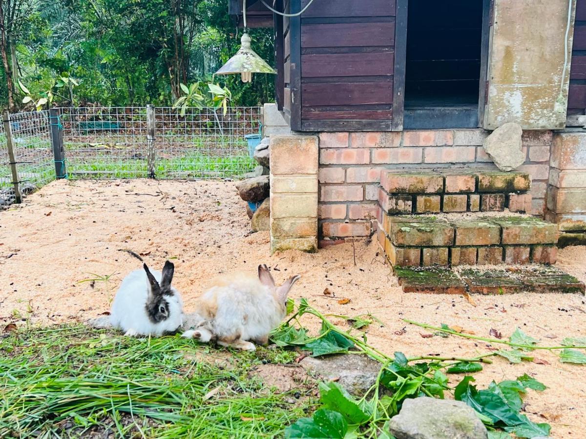 Kasih Sayang Farmstay山下人家
